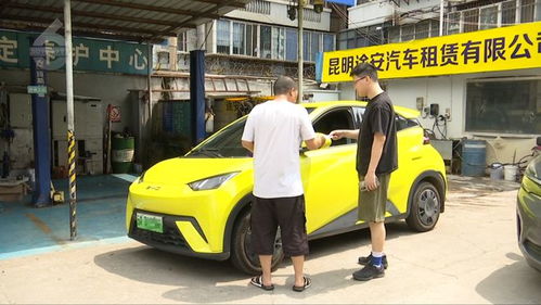 假日租車市場持續火熱，家庭出行與社交需求催生“國民神車”